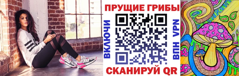 Купить  Чистополь  Псилоцибиновые грибы Magic Shrooms 